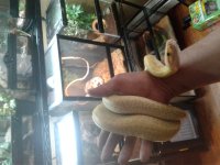 20161207_094410.jpg