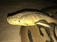 IMG_0082.jpg