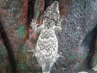 20161213_131435.jpg