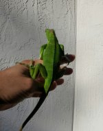 20161023_130723.jpg