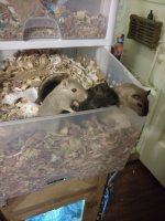 IMG_20170226_002127815.jpg