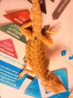 thumbnail_IMG_20161115_171234497.jpg