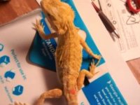 thumbnail_IMG_20161115_171400134.jpg