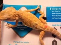 thumbnail_IMG_20161115_171409581.jpg
