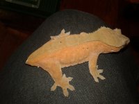 20161128_120836.jpg