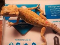 thumbnail_IMG_20161115_171414461.jpg