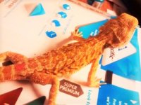 thumbnail_IMG_20161115_171520277.jpg