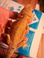 thumbnail_IMG_20161115_171713248.jpg