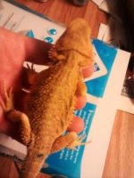 thumbnail_IMG_20161115_171716416.jpg