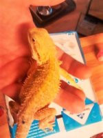 thumbnail_IMG_20161115_171853194.jpg
