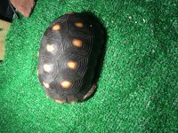 IMG_0359.jpg