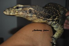 DSC_1125.JPG