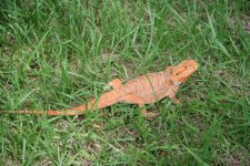 IMG_5969.jpg