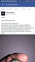 Screenshot_20160904-061214.jpg