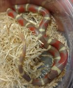 IMG_20161023_214353.jpg