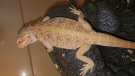 20160913_161734.jpg