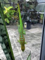 IMG_4224.jpg