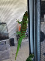 IMG_4380.jpg