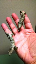 IMG_20160830_104454592.jpg