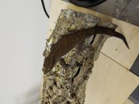 20160923_012422.jpg