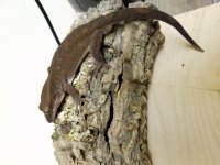20160923_012434.jpg