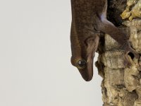 20160923_012536.jpg
