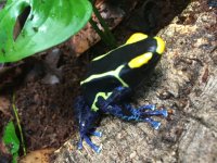 image2.jpg