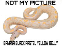 PicsArt_11-29-11.59.03.jpg