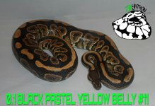 PicsArt_11-28-09.58.18.jpg