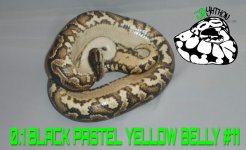 PicsArt_11-28-10.04.23.jpg