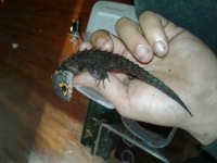 20161127_121656.jpg