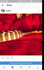 Screenshot_2016-09-04-08-52-15.jpg