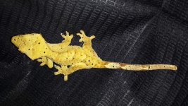 20150709_192935.jpg