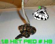 PicsArt_10-23-12.56.40.jpg