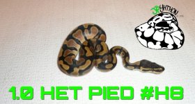 PicsArt_10-23-12.54.39.jpg
