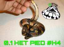 PicsArt_10-23-12.50.25.jpg