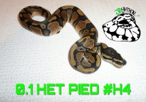 PicsArt_10-23-12.45.06.jpg
