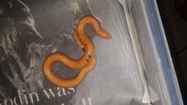 20161022_102503.jpg