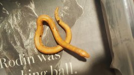 20161022_102457.jpg