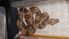 20161024_102451.jpg