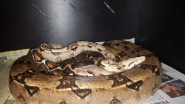 20161024_102531.jpg