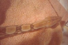0923161458f~2~2.jpg
