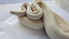 20160904_114330.jpg