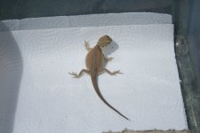 IMG_5915.jpg