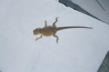 IMG_5914.jpg