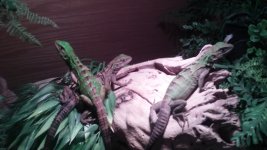 20161029_150836.jpg