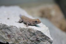 14344817_940812966064100_5207142864946192061_n.jpg