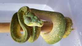 20160519_152159.jpg