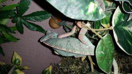 20161001_151221.jpg