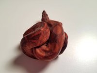 20170129_211955.jpg